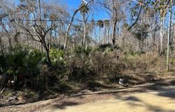 Ancient Oaks Dr, Steinhatchee, FL 32359