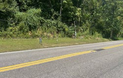 2113 Rt. 52, Gilbert, WV 25621