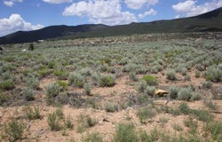 Shirley Drive lot: 12, Questa, NM 87556