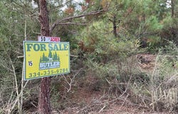 500 Pond Creek Rd, LUVERNE, AL 36049