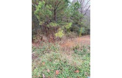 ARMSTRONG LOOP lot: 0, HAYDEN, AL 35079