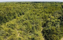 CR 27300, Roxton, TX 75477
