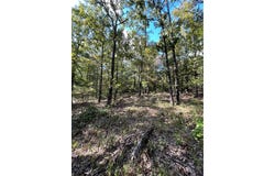 Madison 6021, Elkins, AR 72727
