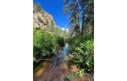 524 Jackelope Ln, Livermore, CO 80536