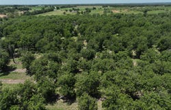 CR 426, Comanche, TX 76442