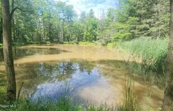 12172 Rt. 23, Ashland, NY 12407