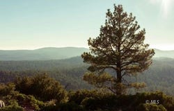 6&7 Joines, Alturas, CA 96101