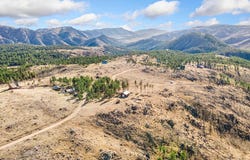 3434 Davis Ranch Rd, Bellvue, CO 80512
