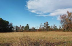 Davis Lane lot: 1, Mullins, SC 29574