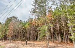012 CR 2307, Cleveland, TX 77327
