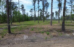 2 Pecan Grove, Holly Hill, SC 29059