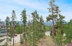 89100 Ryan Gulch Road, SILVERTHORNE, CO 80498