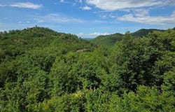 2123 Windy Lane, Sevierville, TN 37876