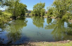 Illinois Avenue S, Sikeston, MO 63801