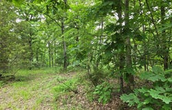 Mark Peterson Drive, Wright City, MO 63390