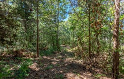 Partridge Circle, Brewster, MA 02631