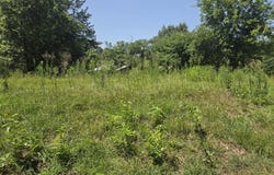 307 Washington, Linden, TX 75563