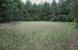 BOELTER Road, IOLA, WI 54945