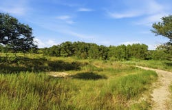 TBD Lot 8 Ranchero St, Bertram, TX 78605