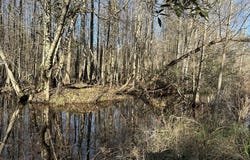 0021 Barnes Road, Gordon, AL 36343