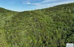 Old Mill Rd, Patrick Springs, VA 24133