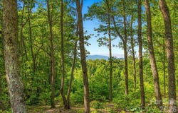 149 + 207 Mossy Oak Trail, Nebo, NC 28761