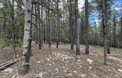 10555 THK Road, Casper, WY 82601