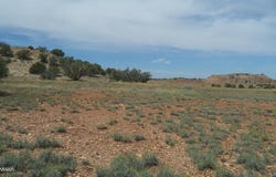 98 N9222, Concho, AZ 85924
