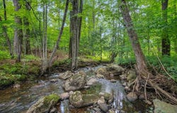 3234 W. Hill Road, Montgomery, VT 04571