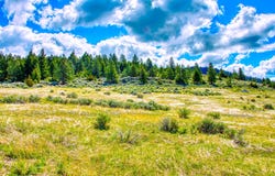 2136 Blue Sage Trail, Corvallis, MT 59828