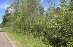 FOREST HILL Drive, TOWNSEND, WI 54175