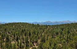 3641 Elkhorn Rd, Cotopaxi, CO 81223
