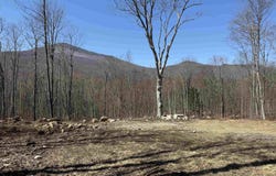 Rocky Lane, Dorset, VT 05253