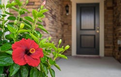 1618 Vineyard Mist Drive, Cary, NC 27519