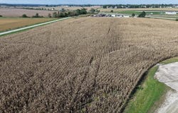 4299 Lewis Access Road, IA