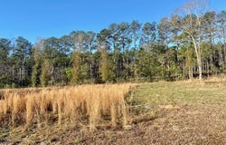 1169 Ole Springs Road, Summit, MS 39666