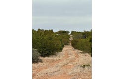 537 Lone Mills Road, Robert Lee, TX 76945