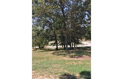 Pinkie Lane lot: 4A, Laurie, MO 65037