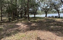 4491 Sc-165, Hollywood, SC 29449