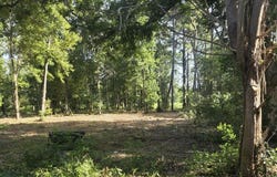 PID #6031801 Lakeland Circle, Pineland, TX 75948