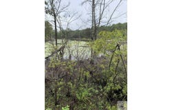 CR 2339, Marietta, TX 75566