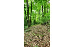 Hemlock Falls Drive lot: 9, Sylva, NC 28779