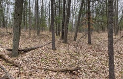 Parcel B Coates Hwy, Brethren, MI 49619
