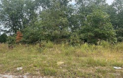 1 S Green Acres St, Pembroke Township, IL 60958