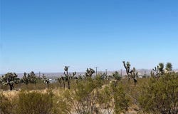 Bear Valley Road, Pinon Hills, CA 92372
