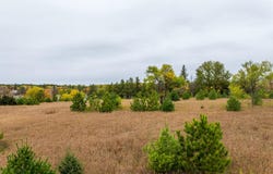 103 County 13, Nevis, MN 56467