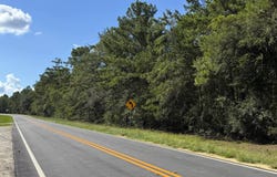 Canoochee Garfield Road, Canoochee, GA 30471