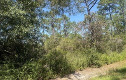 Leggett Road, Long Beach, MS 39560
