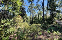 244 Pine Cone Lane, Hemphill, TX 75948