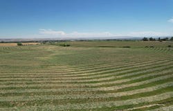Greenfield Road, Vale, OR 97918